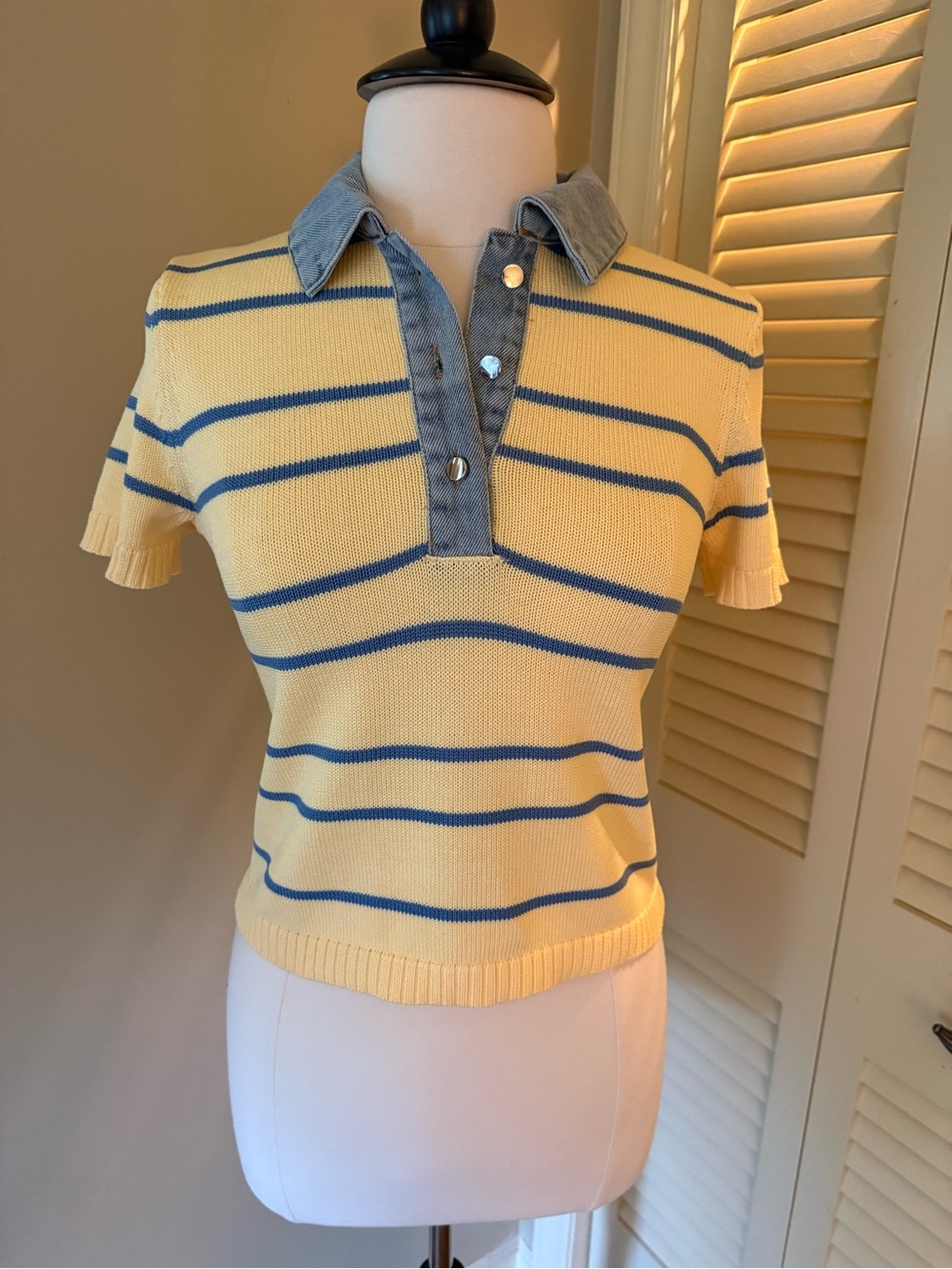 Olivaceous Yellow and Blue Striped V-Neck Polo Knit